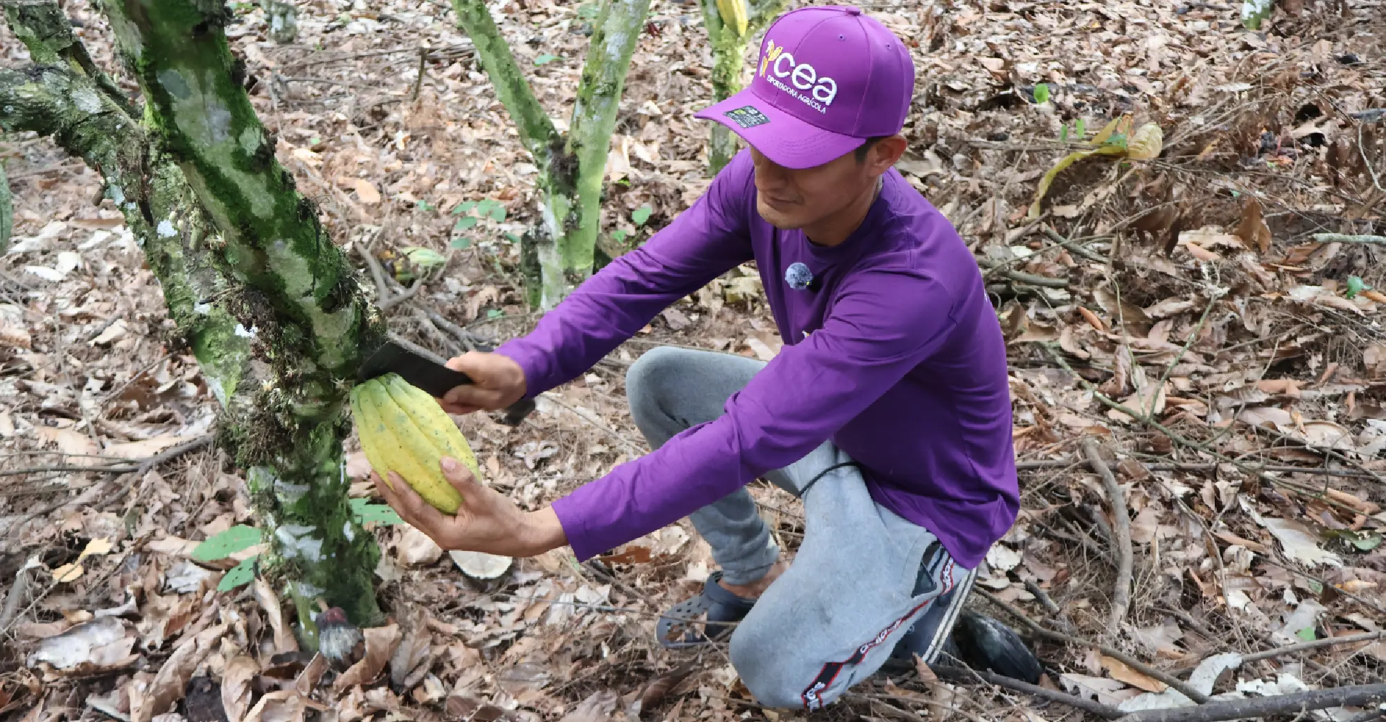 Training programs with cacao producers