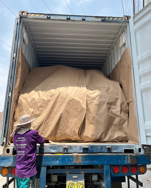 Cacao logistics at the El Dorado collection center