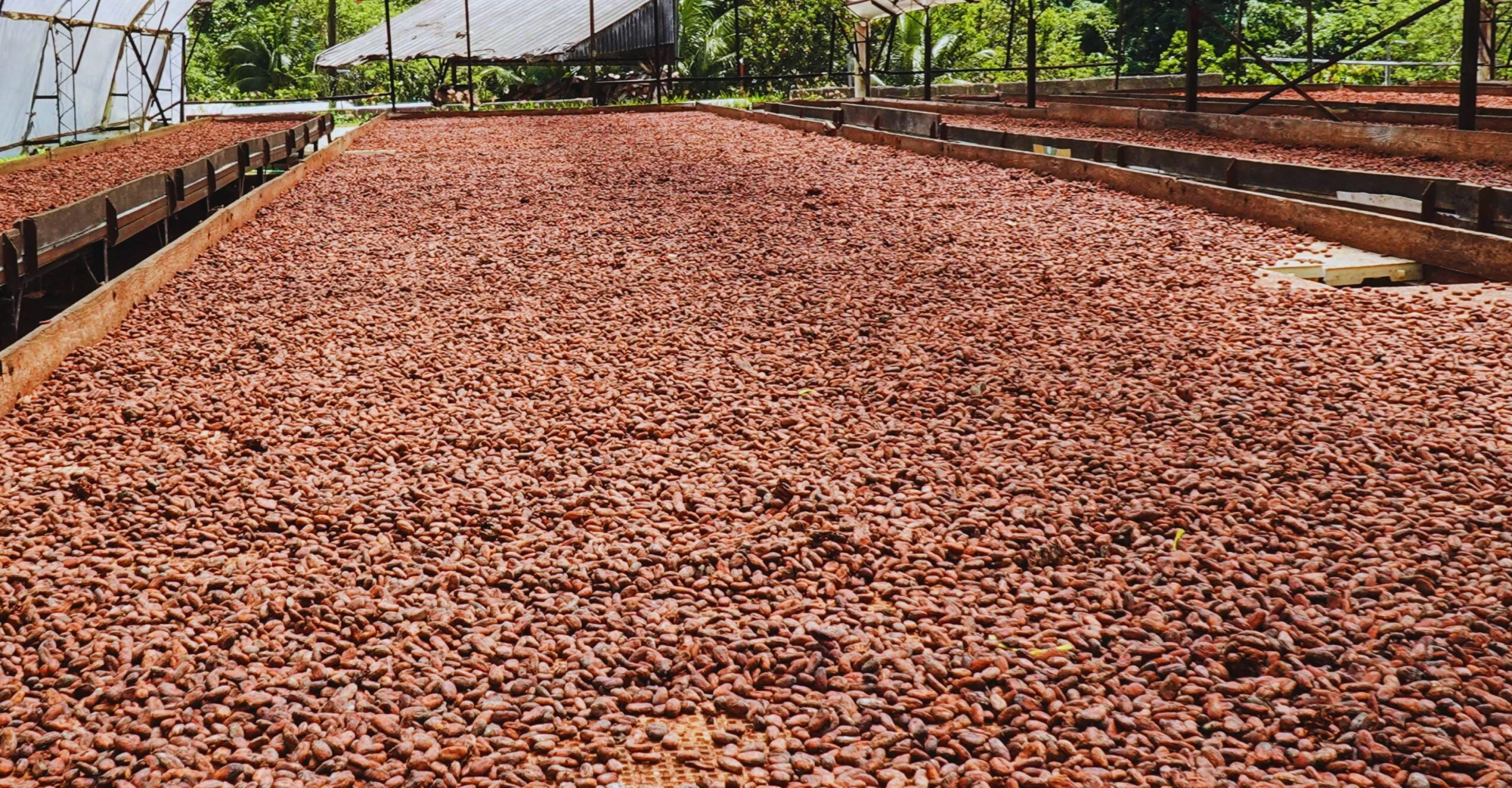 Sustainable Agriculture