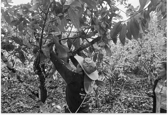 imagen 1 de agricultura