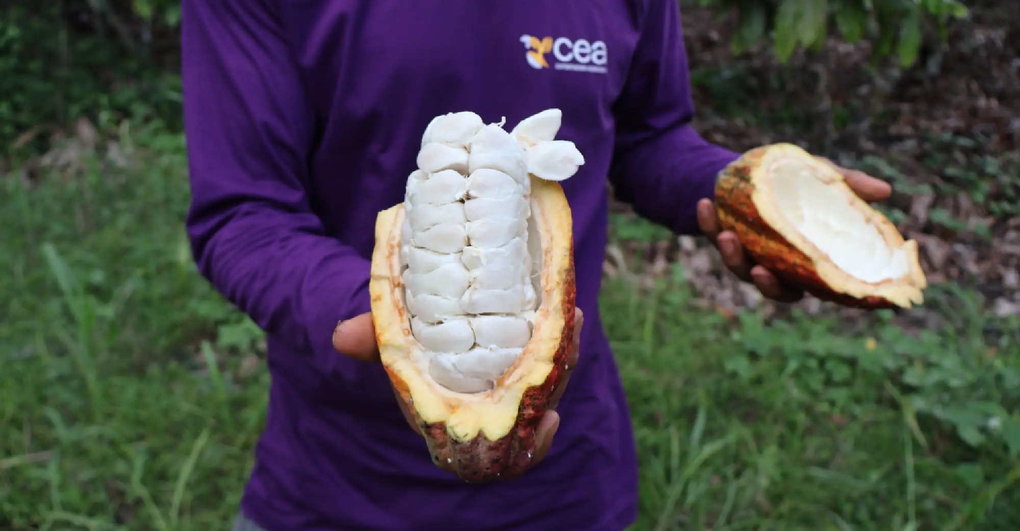 Generational impact in cacao communities