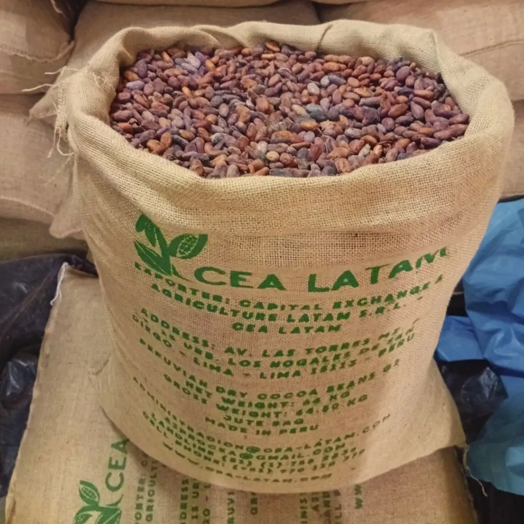 Cocoa logistics and export