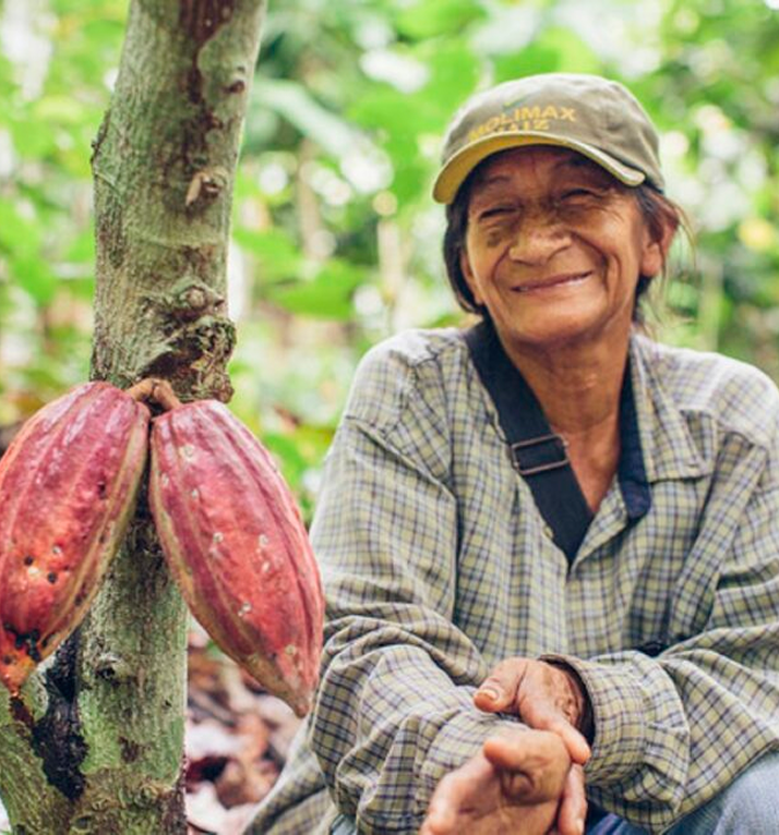 Cocoa producer in the field