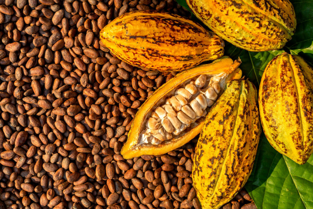 aromatic-cocoa-beans-as-background-cocoa-beans-and-cocoa-fru (1)