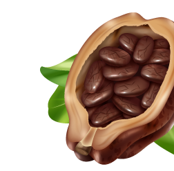 imagen-cacao