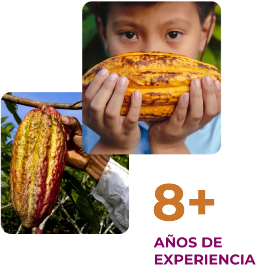 AÑOS-DE-EXPERIENCIA (1)