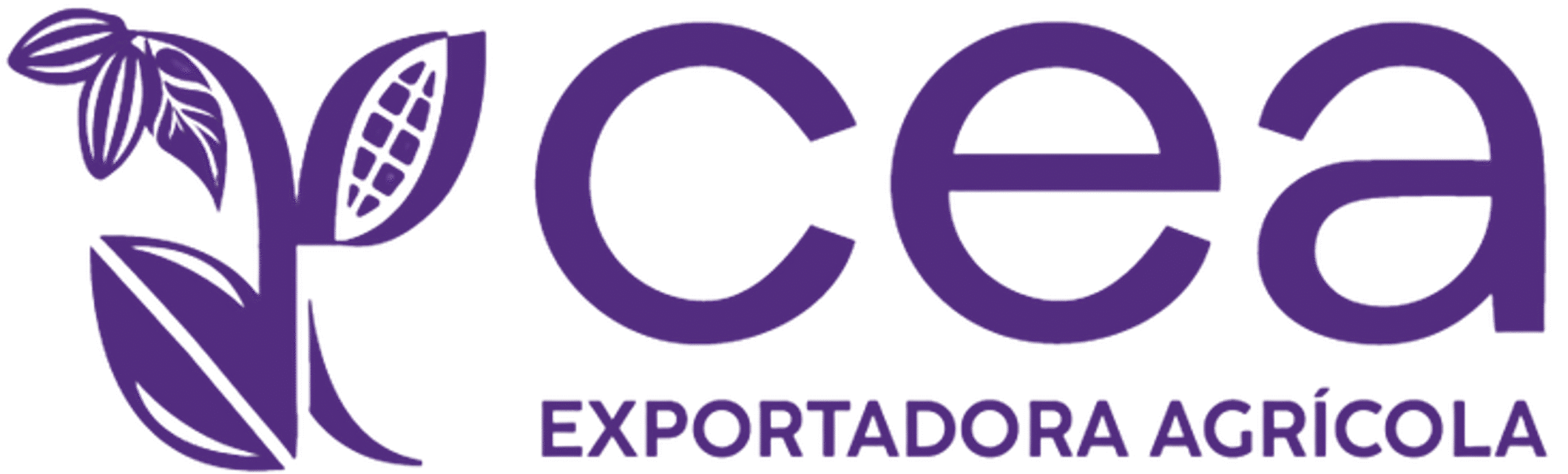 Cropped logo morado.png